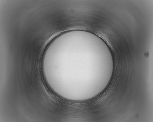 X0000091060348200708061005
