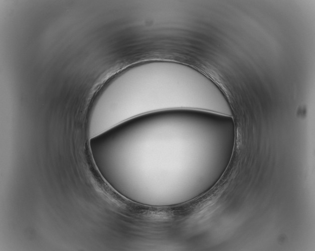 X0000091060349200708061005