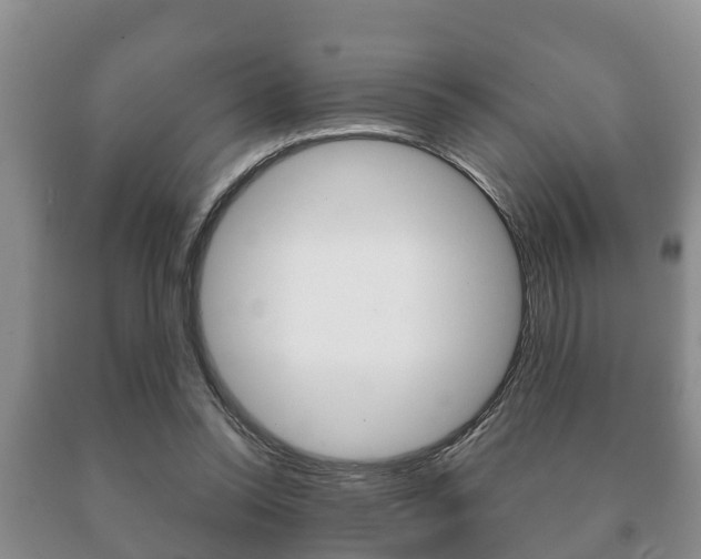 X0000091060350200708061005