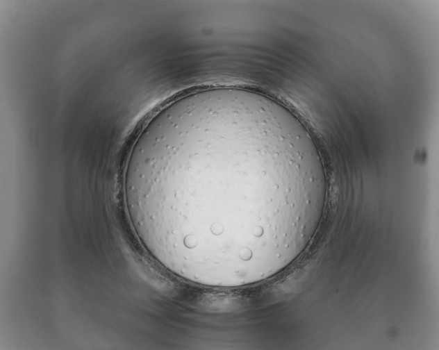 X0000091060351200708061005