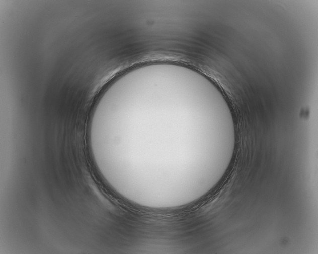 X0000091060352200708061005