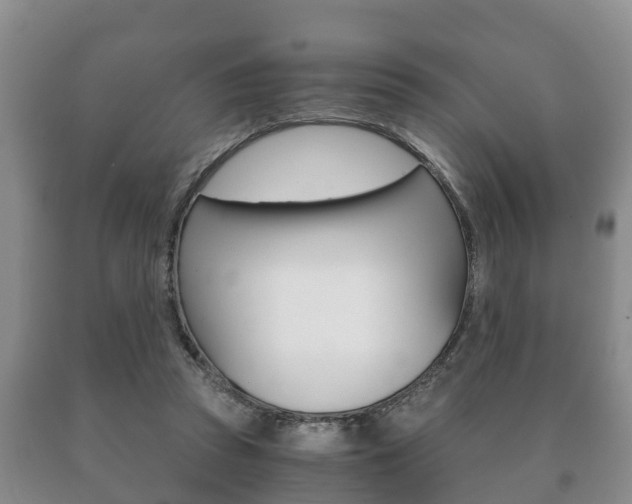 X0000091060353200708061005