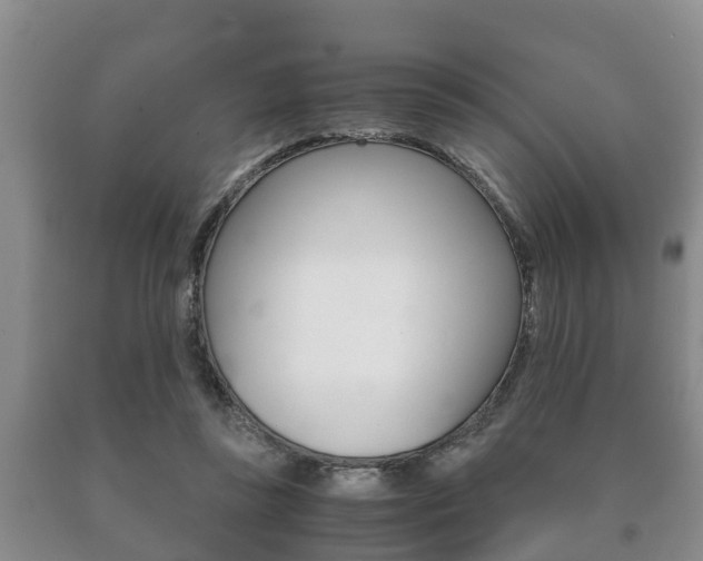 X0000091060355200708061005