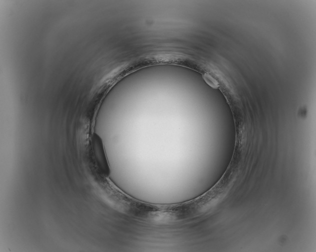 X0000091060356200708061005