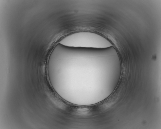X0000091060357200708061005