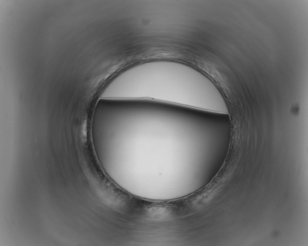 X0000091060358200708061005