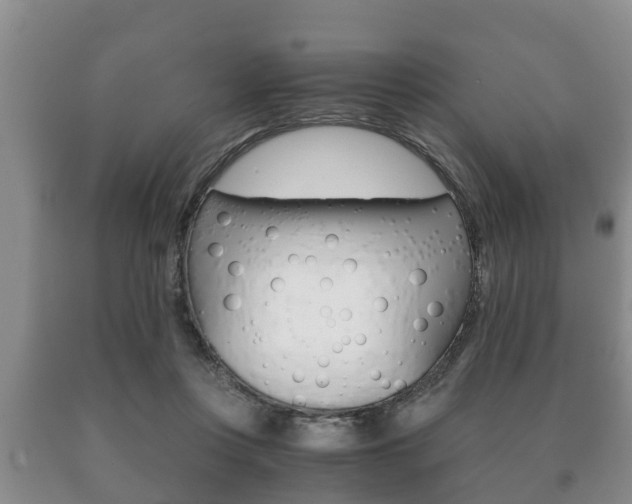 X0000091060359200708061005
