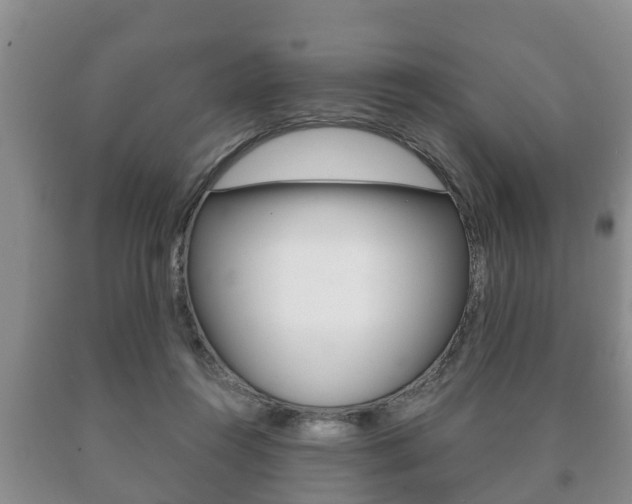 X0000091060360200708061005