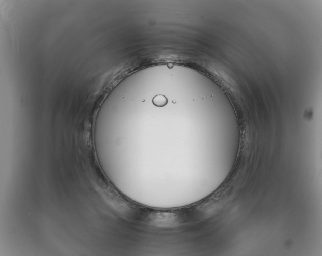 X0000091060361200708061005
