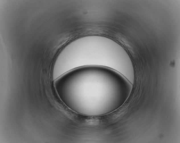 X0000091060362200708061005