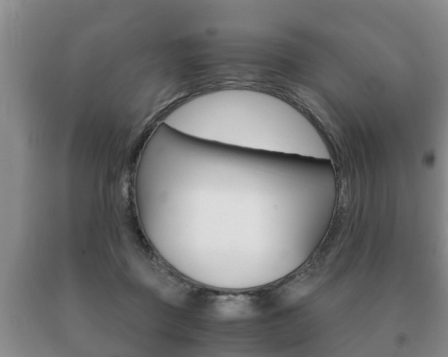 X0000091060363200708061005