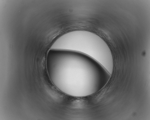 X0000091060364200708061005