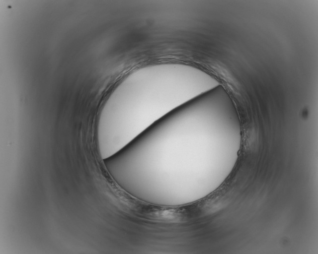 X0000091060365200708061005