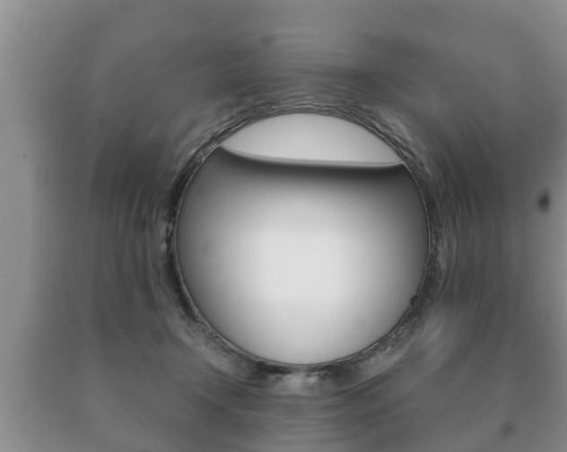 X0000091060366200708061005