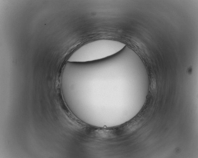 X0000091060367200708061005