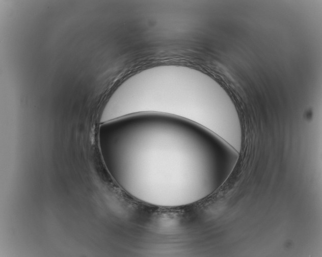 X0000091060368200708061005