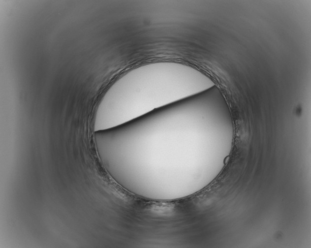 X0000091060369200708061005