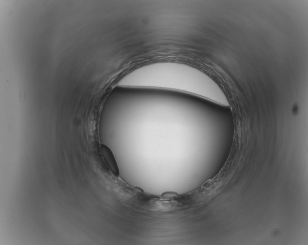 X0000091060372200708061005