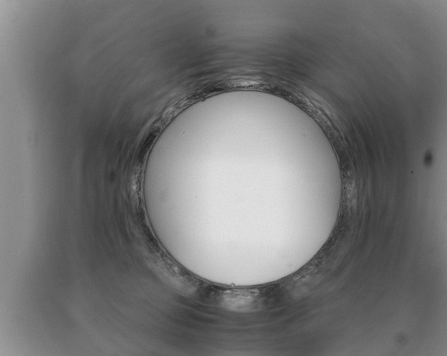 X0000091060373200708061005
