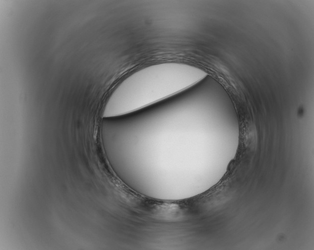 X0000091060374200708061005