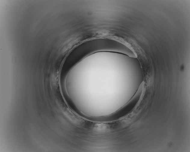 X0000091060376200708061005