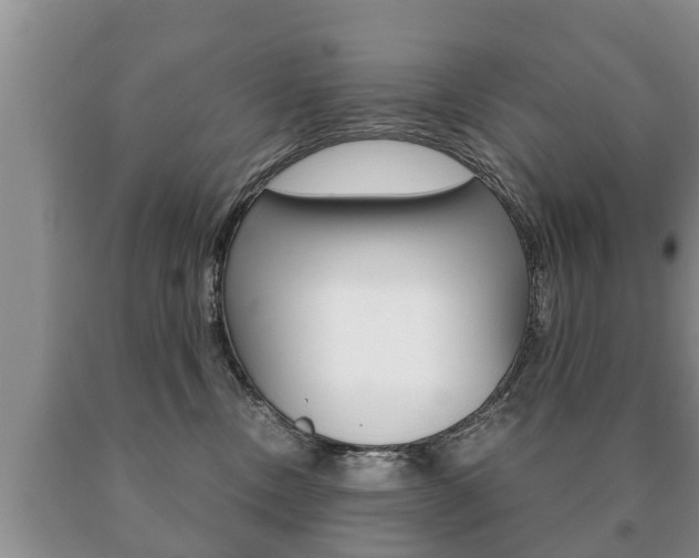 X0000091060378200708061005