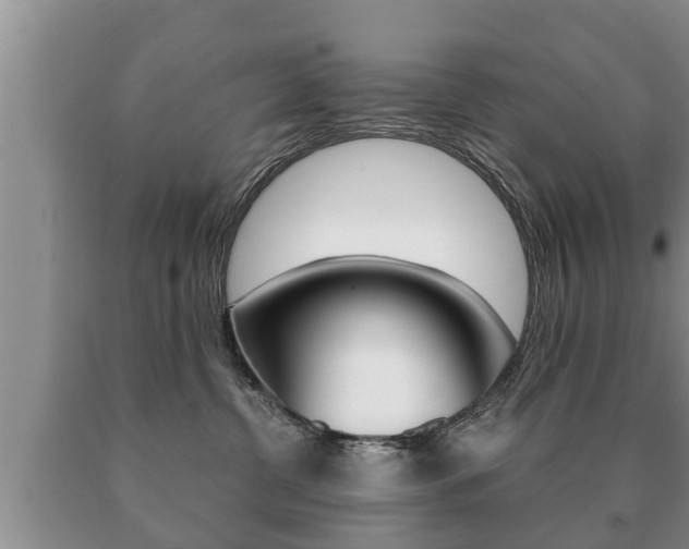 X0000091060380200708061005
