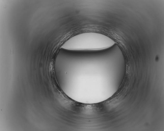 X0000091060382200708061005