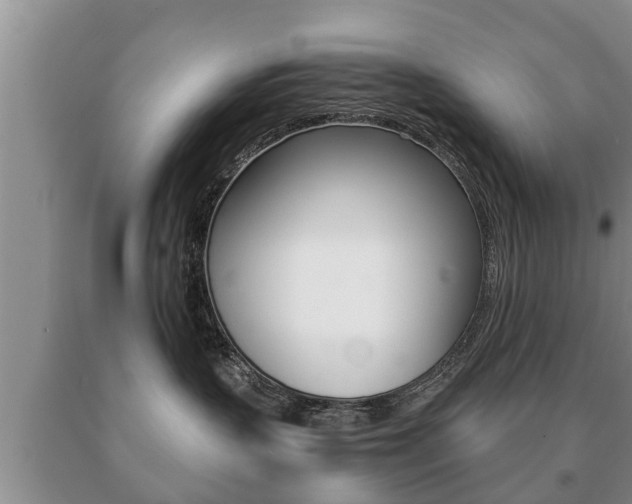 X0000091060383200708061005
