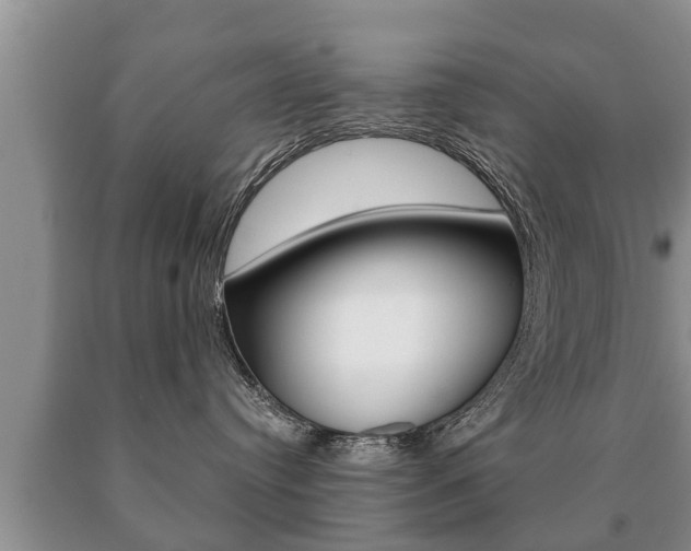 X0000091060384200708061005