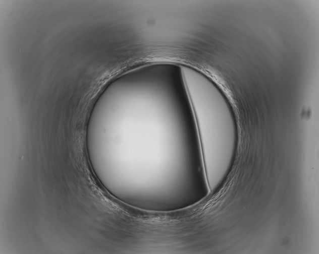 X0000091060385200708061005