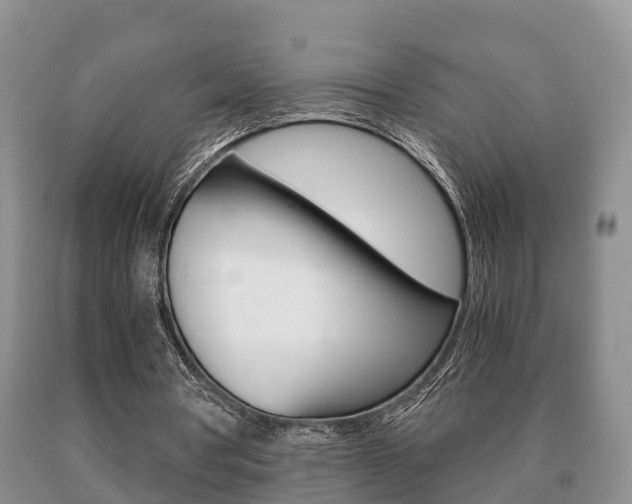 X0000091060386200708061005