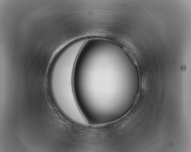 X0000091060388200708061005