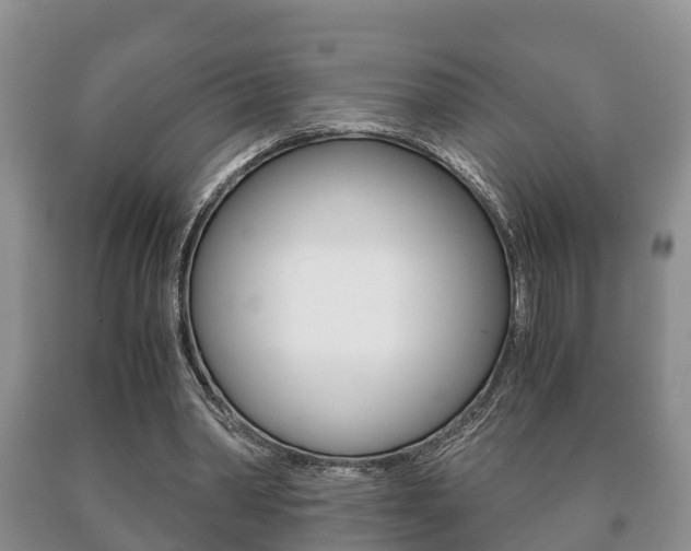 X0000091060390200708061005