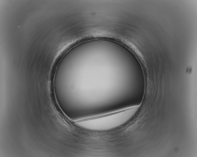 X0000091060391200708061005