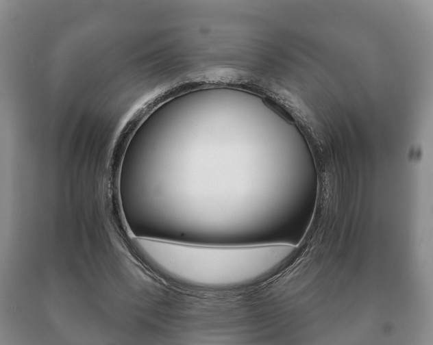 X0000091060392200708061005