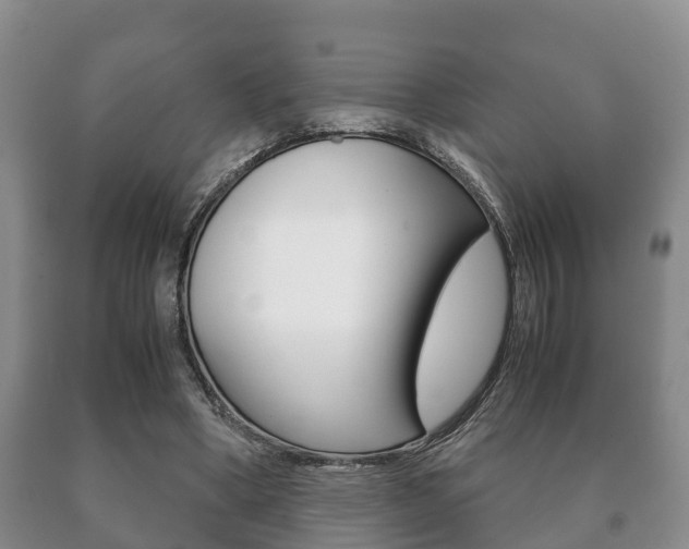 X0000091060394200708061005