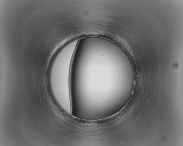 X0000091060395200708061005