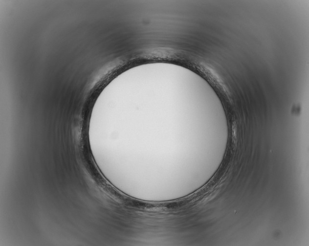 X0000091060396200708061005
