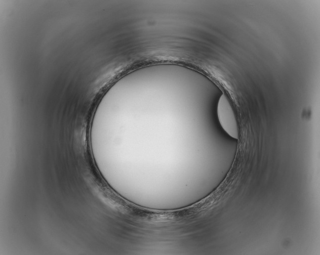 X0000091060398200708061005