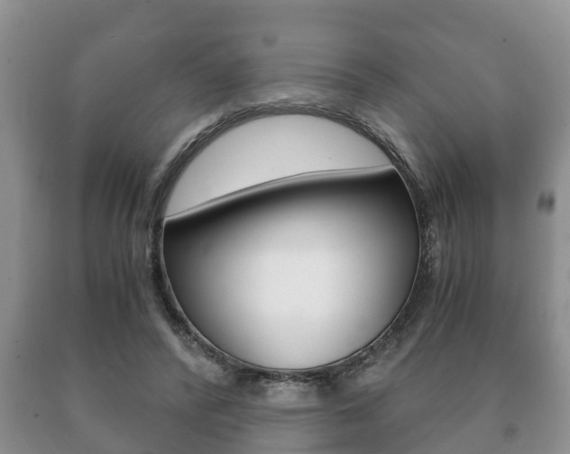 X0000091060400200708061005