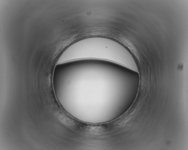 X0000091060401200708061005