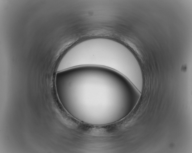 X0000091060403200708061005
