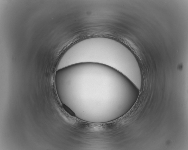X0000091060405200708061005
