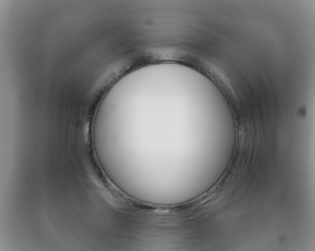 X0000091060406200708061004