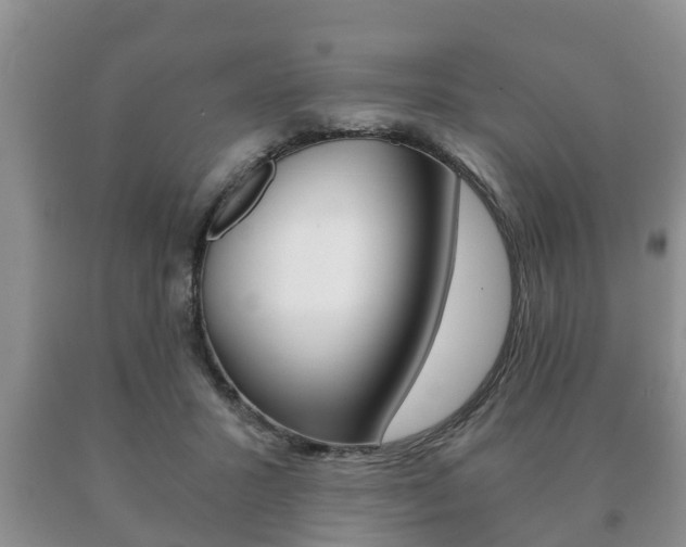 X0000091060407200708061004