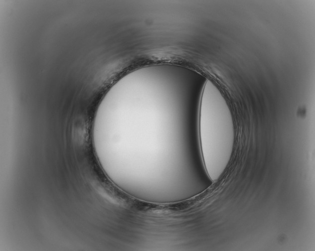 X0000091060408200708061004