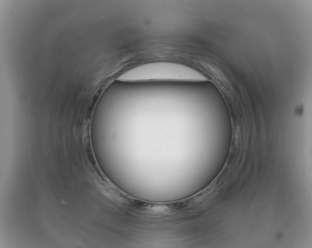 X0000091060409200708061004