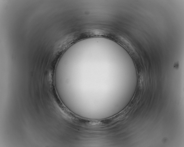 X0000091060410200708061004