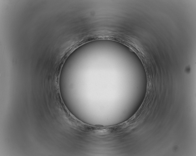 X0000091060411200708061004